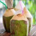 10 Khasiat Air Kelapa Yang Ramai Orang Tidak Tahu. 10 Khasiat Air Kelapa Yang Ramai Orang Tidak Tahu.