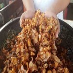18 Khasiat Asam Keping. 18 Khasiat Asam Keping.