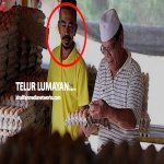 Digelak Orang Dari Pegawai Bank Jadi Penjual Telur. Lelaki Ni Bangga Jual 30,000 Telur Sehari Digelak Orang Dari Pegawai Bank Jadi Penjual Telur. Lelaki Ni Bangga Jual 30,000 Telur Sehari