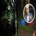 Pokok Petai Menangis. Ini Nasihat Mufti Kelantan Kepada Orang Ramai. Pokok Petai Menangis. Ini Nasihat Mufti Kelantan Kepada Orang Ramai.