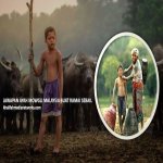 Kenapa Tak Cas Orang Ambil Gambar. Jawapan Ayah Mowgli Malaysia Buat Ramai SEBAK Kenapa Tak Cas Orang Ambil Gambar. Jawapan Ayah Mowgli Malaysia Buat Ramai SEBAK