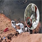 Inilah 8 Sebatian Kimia Berbahaya Dibuang Di Sungai Kim Kim Inilah 8 Sebatian Kimia Berbahaya Dibuang Di Sungai Kim Kim
