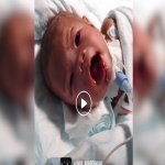 Video Perkataan Pertama Ainul Mardhiah Ni Buat Ibunya Sebak. Ini Puncanya. Video Perkataan Pertama Ainul Mardhiah Ni Buat Ibunya Sebak. Ini Puncanya.