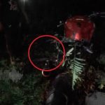 Tunggang Motosikal Berkuasa Tinggi, Pelajar Maut Kemalangan Tunggang Motosikal Berkuasa Tinggi, Pelajar Maut Kemalangan