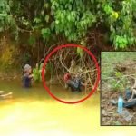 Seminggu Hilang. Gadis Ini Ditemui Bergayut Pada Akar Pokok. Seminggu Hilang. Gadis Ini Ditemui Bergayut Pada Akar Pokok.