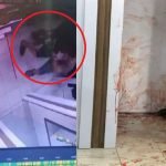 Lelaki Samun Majikannya Pada Hari Pertama Kerja Lelaki Samun Majikannya Pada Hari Pertama Kerja