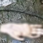 Bukan Potongan Tangan Manusia Tapi.. – Polis Bukan Potongan Tangan Manusia Tapi.. – Polis