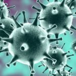 Satu Virus Baharu Dijumpai Di China. Satu Virus Baharu Dijumpai Di China.