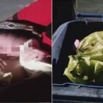 Wanita Jumpa Bayi Masih Hidup Dalam Tong Sampah Wanita Jumpa Bayi Masih Hidup Dalam Tong Sampah