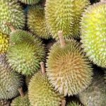 Tips Pilih Durian Supaya Tidak Menyesal Tips Pilih Durian Supaya Tidak Menyesal