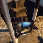 Mayat Warga Emas Ditemui Dalam Longkang Bersama Basikal. Mayat Warga Emas Ditemui Dalam Longkang Bersama Basikal.