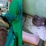 Nenek TERKEJUT Ular Tedung Atas Badan Ketika Bangun Tidur Nenek TERKEJUT Ular Tedung Atas Badan Ketika Bangun Tidur