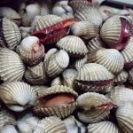 Tips Bersihkan Kerang Dengan Mudah Tips Bersihkan Kerang Dengan Mudah
