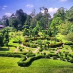 Kisah Seram di Taman Botani Kisah Seram di Taman Botani
