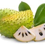 Khasiat Durian Belanda Yang Wajib Anda Tahu Khasiat Durian Belanda Yang Wajib Anda Tahu