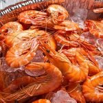Tips Simpan Udang Supaya Kekal Segar Tips Simpan Udang Supaya Kekal Segar