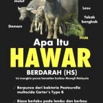 Kerbau Mowgli Mati Mengejut. Ini Mungkin Puncanya. Kerbau Mowgli Mati Mengejut. Ini Mungkin Puncanya.