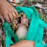 Penduduk Kampung Temui Bayi Perempuan Dalam Beg. Penduduk Kampung Temui Bayi Perempuan Dalam Beg.