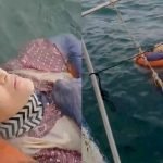 Misteri Wanita Ditemui Terapung Tengah Laut Selepas Hilang Dua Tahun Misteri Wanita Ditemui Terapung Tengah Laut Selepas Hilang Dua Tahun