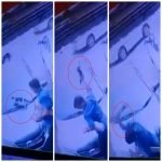 Kejam. CCTV Rakam Lelaki Hempas Kucing Ke Lantai Kejam. CCTV Rakam Lelaki Hempas Kucing Ke Lantai