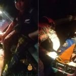 Suri Rumah Maut Motosikal Kemalangan Elak Pokok Tumbang Suri Rumah Maut Motosikal Kemalangan Elak Pokok Tumbang