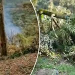 Kes Ceroboh Tanah Di Raub, Ini Tindakan Segera SPRM Kes Ceroboh Tanah Di Raub, Ini Tindakan Segera SPRM