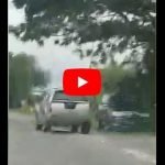 (Video) Tular Pandu Secara Berbahaya, Pemandu Ditahan (Video) Tular Pandu Secara Berbahaya, Pemandu Ditahan