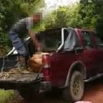 Ketua Kampung Ditahan Curi Lembu. Ketua Kampung Ditahan Curi Lembu.
