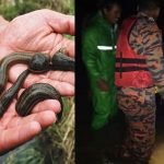 Seorang Rider Grabfood Berdepan Detik Cemas Apabila Hayut Sejauh 1KM. Seorang Rider Grabfood Berdepan Detik Cemas Apabila Hayut Sejauh 1KM.