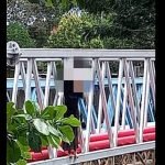 Gadis Nekad Terjun Jambatan Cuba Bunuh Diri Gagal Gadis Nekad Terjun Jambatan Cuba Bunuh Diri Gagal