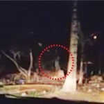 Misteri Ketukan Pintu Rumah, Penduduk Rakam Ada ‘Lembaga’ Tepi Pokok Misteri Ketukan Pintu Rumah, Penduduk Rakam Ada ‘Lembaga’ Tepi Pokok