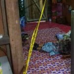 Lelaki Mengamuk Putus Tunang Tetak Bakal Ibu Mentua Hingga Mati. Lelaki Mengamuk Putus Tunang Tetak Bakal Ibu Mentua Hingga Mati.