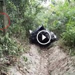 Tengah Bersih Longkang, Petugas Highway Terkejut Temui Sesuatu. Ada VIDEO. Tengah Bersih Longkang, Petugas Highway Terkejut Temui Sesuatu. Ada VIDEO.