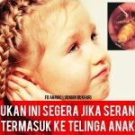 “Jangan Jolok Masuk Cotton Bud…” Ini 5 Panduan Jika Serangga Masuk Telinga Anak “Jangan Jolok Masuk Cotton Bud…” Ini 5 Panduan Jika Serangga Masuk Telinga Anak