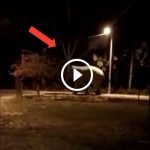 Viral Gajah Berkeliaran. PERHILITAN Tampil Beritahu Puncanya. Ada VIDEO. Viral Gajah Berkeliaran. PERHILITAN Tampil Beritahu Puncanya. Ada VIDEO.
