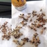Bermodalkan RM 7.90, Lelaki Ini Kongsi Tips Paling Berkesan Dan Lihat Hasilnya Bermodalkan RM 7.90, Lelaki Ini Kongsi Tips Paling Berkesan Dan Lihat Hasilnya