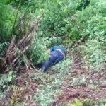 Lelaki Maut Motosikal Terbabas Semasa Pulang Ke Rumah Lelaki Maut Motosikal Terbabas Semasa Pulang Ke Rumah