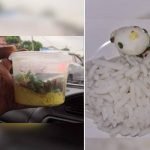 Harga Makanan Di Bazar Mahal Undang Kemarahan Pembeli Harga Makanan Di Bazar Mahal Undang Kemarahan Pembeli