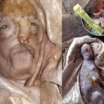 Tular Seekor Anak Kambing Berwajah Manusia di India Tular Seekor Anak Kambing Berwajah Manusia di India
