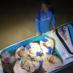 Cuba Seludup 3000 Telur Penyu, Seorang Lelaki Warga Filipina Ditahan Cuba Seludup 3000 Telur Penyu, Seorang Lelaki Warga Filipina Ditahan