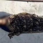Anak Tergamak Buang Ibu Tepi Jalan Hanya Kerana Positif Covid-19 Anak Tergamak Buang Ibu Tepi Jalan Hanya Kerana Positif Covid-19
