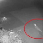 Wanita Kongsi Rakaman CCTV Dakwa Lihat Kelibat Anak Dinosaur Wanita Kongsi Rakaman CCTV Dakwa Lihat Kelibat Anak Dinosaur