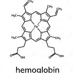 Apa Itu Blood Clot Dalam Darah ? Ini Jawapan Mudahnya Apa Itu Blood Clot Dalam Darah ? Ini Jawapan Mudahnya