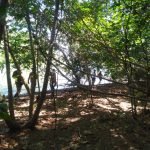 Lima Sekeluarga Cemas Dua Jam Sesat Di Pulau Mawar Lima Sekeluarga Cemas Dua Jam Sesat Di Pulau Mawar