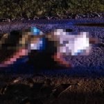 Elak Kerbau Punca Pemuda Meninggal Elak Kerbau Punca Pemuda Meninggal