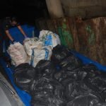 Maritim Malaysia Gagalkan Cubaan Seludup 300kg Ketum Ke Thailand Maritim Malaysia Gagalkan Cubaan Seludup 300kg Ketum Ke Thailand