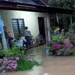 Rumah Dinaiki Air, Warga Emas Khuatir Rumah Dimasuki Buaya Sesat Rumah Dinaiki Air, Warga Emas Khuatir Rumah Dimasuki Buaya Sesat