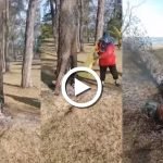 Petugas Kebersihan Nyaris Ditimpa Pokok Disambar Api Akibat BBQ. ADA VIDEO Petugas Kebersihan Nyaris Ditimpa Pokok Disambar Api Akibat BBQ. ADA VIDEO