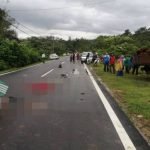 Hulu Terengganu: Dua Beradik Maut Terlanggar Lori Sedang Undur Hulu Terengganu: Dua Beradik Maut Terlanggar Lori Sedang Undur