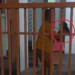 Tular Video Wanita Rotan Anak Anjing Hingga Menangis Kesakitan. Tular Video Wanita Rotan Anak Anjing Hingga Menangis Kesakitan.